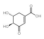 (-)-3-去氢莽草酸图片