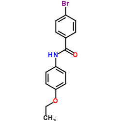 4-Bromo-N-(4-ethoxyphenyl)benzamide结构式