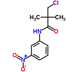 3-Chloro-2,2-dimethyl-N-(3-nitrophenyl)propanamide structure