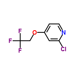 2-氯-4-(2,2,2-三氟乙氧基)吡啶图片