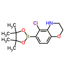 5-Chloro-6-(4,4,5,5-tetramethyl-1,3,2-dioxaborolan-2-yl)-3,4-dihydro-2H-1,4-benzoxazine结构式