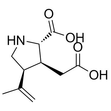 Kainic acid picture