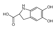 (2S)-5,6-dihydroxy-2,3-dihydro-1H-indole-2-carboxylic acid Structure