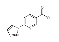 6-(1H-PYRAZOL-1-YL)NICOTINIC ACID picture