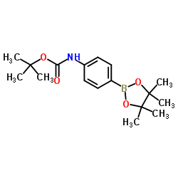 N-Boc-4-氨基苯硼酸频哪醇酯图片