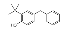 4-benzyl-2-tert-butylphenol Structure