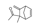 Ethanone, 1-(2-methyl-3-methylenebicyclo[2.2.1]hept-5-en-2-yl)-, endo- (9CI) Structure