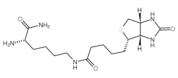 biocytinamide structure