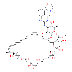 N-(N'-(2-(4'-methylmorpholinio)ethyl)-N''-cyclohexylguanyl)amphotericin B methyl ester结构式