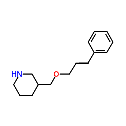 3-[(3-Phenylpropoxy)methyl]piperidine结构式