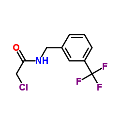 2-Chloro-N-[3-(trifluoromethyl)benzyl]acetamide picture