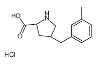 (2S,4R)-4-(3-METHYLBENZYL)PYRROLIDINE-2-CARBOXYLIC ACID HYDROCHLORIDE结构式