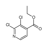 2,3-Dichloropyridine-4-carboxylic acid ethyl ester structure