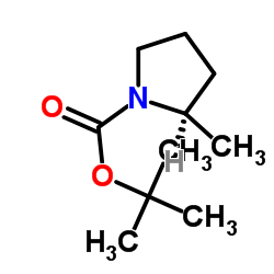 (R)-1-Boc-2-甲基吡咯烷图片