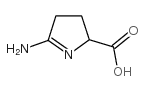 2H-Pyrrole-2-carboxylicacid,5-amino-3,4-dihydro- picture