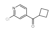 (2-chloro-pyridin-4-yl)-cyclobutyl-methanone结构式