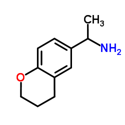 919007-96-8 structure