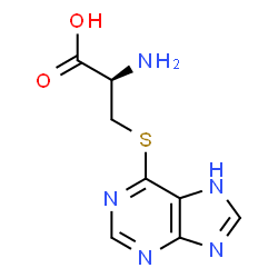 S-(6-purinyl)cysteine Structure