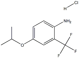 1258639-73-4 structure