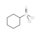 CYCLOHEXYLPHOSPHONOTHIOIC DICHLORIDE Structure