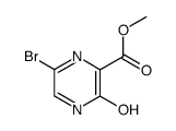 21874-61-3 structure