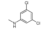 3,5-dichloro-N-methylaniline picture