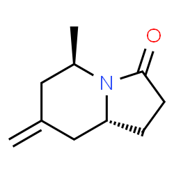 3(2H)-Indolizinone,hexahydro-5-methyl-7-methylene-,(5R,8aR)-(9CI)结构式