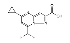 5-CYCLOPROPYL-7-DIFLUOROMETHYL-PYRAZOLO[1,5-A]PYRIMIDINE-2-CARBOXYLIC ACID picture