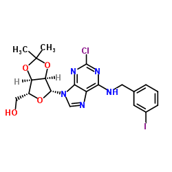 2-Chloro-N-[(3-iodophenyl)methyl]-2',3'-O-(1-methylethylidene) Adenosine picture