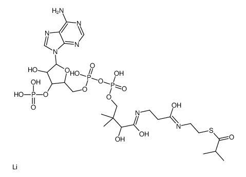 Isobutyryl coenzyme A lithium salt structure