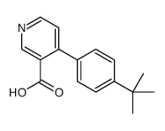 4-(4-tert-butylphenyl)pyridine-3-carboxylic acid Structure