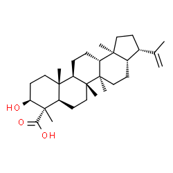 (4S)-3β-Hydroxy-A'-neogammacer-22(29)-en-23-oic acid picture