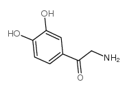 2-amino-1-(3,4-dihydroxyphenyl)ethan-1-one structure