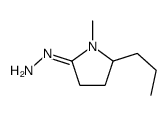 (1-methyl-5-propylpyrrolidin-2-ylidene)hydrazine Structure