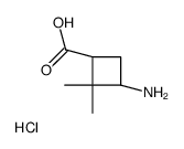 cis-3-Amino-2,2-dimethylcyclobutanecarboxylic acid hydrochloride Structure