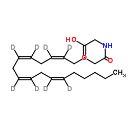 花生四烯酸甘氨酸-d8图片