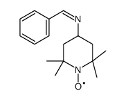 N-(1-λ1-oxidanyl-2,2,6,6-tetramethylpiperidin-4-yl)-1-phenylmethanimine结构式