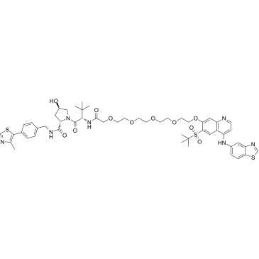 PROTAC RIPK degrader-2 Structure