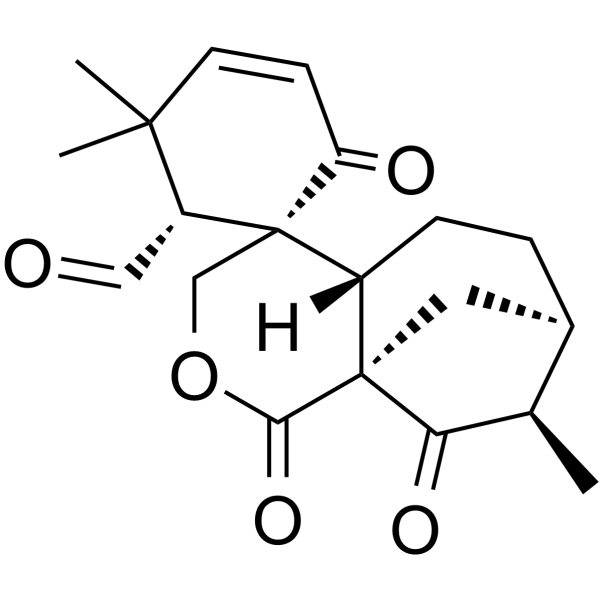 191545-24-1 structure