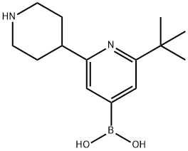 2-(tert-Butyl)-6-(piperidin-4-yl)pyridine-4-boronic acid structure