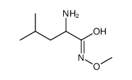 Valeramide,2-amino-N-methoxy-4-methyl- (8CI) picture