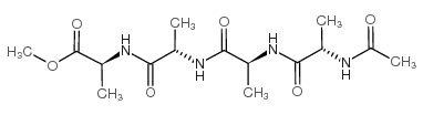 Ac-Ala-Ala-Ala-Ala-OMe Structure