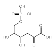 32120-43-7 structure