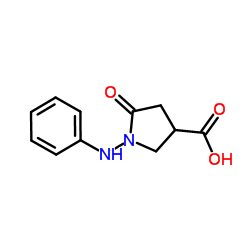 1-Anilino-5-oxo-3-pyrrolidinecarboxylic acid Structure