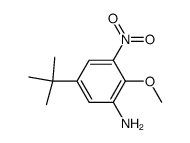 5-tert-Butyl-2-methoxy-3-nitroaniline结构式