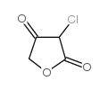 3-CHLORO-FURAN-2,4-DIONE Structure