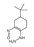 (4-tert-butyl-2-nitrosocyclohexen-1-yl)hydrazine结构式