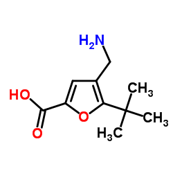 4-AMINOMETHYL-5-TERT-BUTYL-FURAN-2-CARBOXYLIC ACID图片