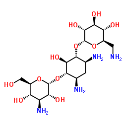 卡那霉素图片