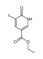 ethyl 6-hydroxy-5-iodonicotinate Structure